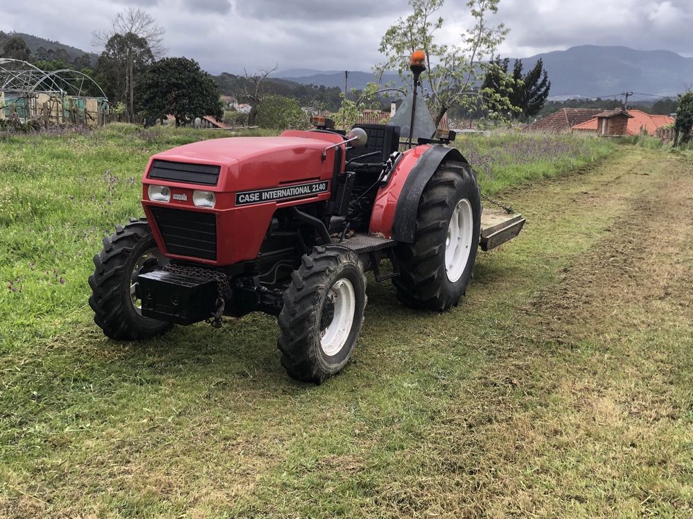 Limpeza de terrenos e venda de lenha