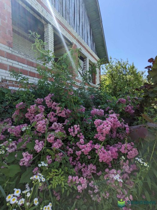 Продається дача с Черніїв (1)