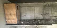 Gaiolas para aves com 1,20m