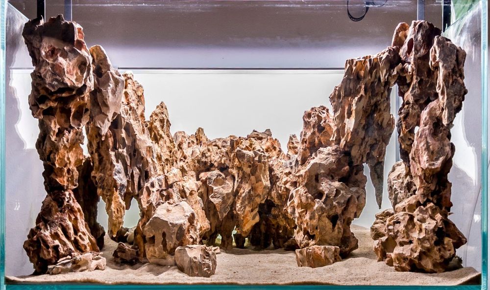 Gotowa Aranżacja akwarium 60x40x36