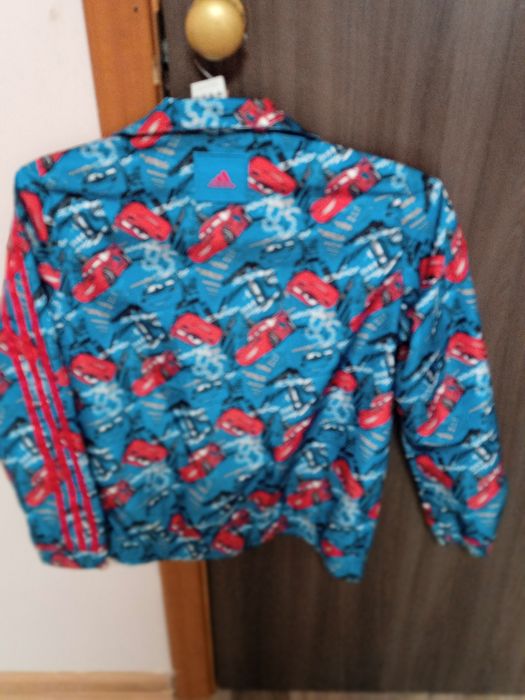 Вітровка хлопчача