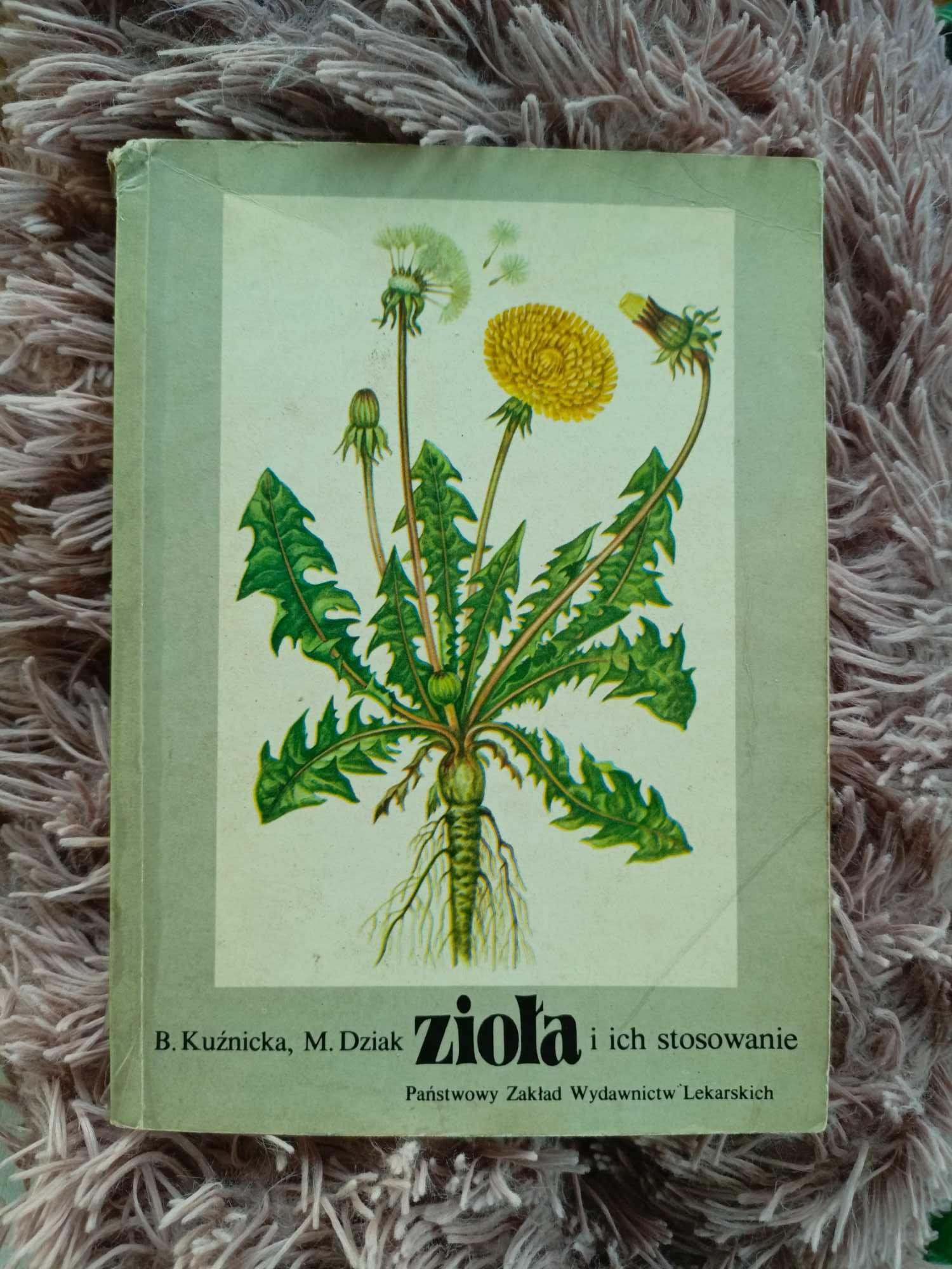 Zioła i ich zastosowanie Kuźnicka i Dziak 79