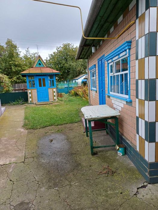 Продам будинок у смт. Драбів