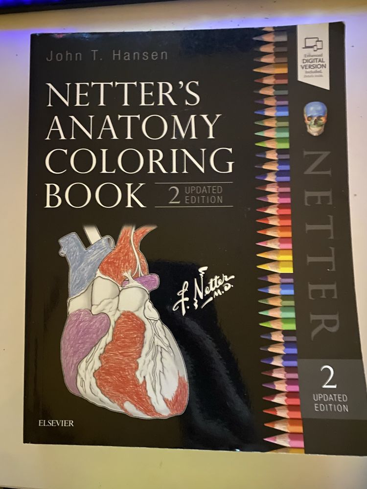 anatomia nettera do kolorowania
