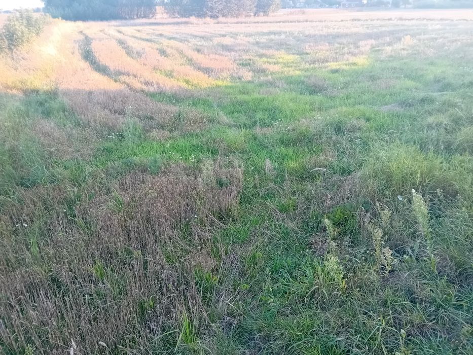 Sprzedam pole 0,21