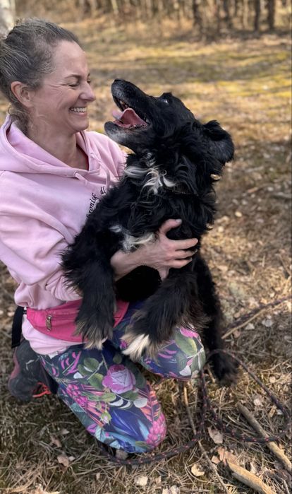 Latami zamknięty w boksie przez zwyrola… pies ideał do adopcji