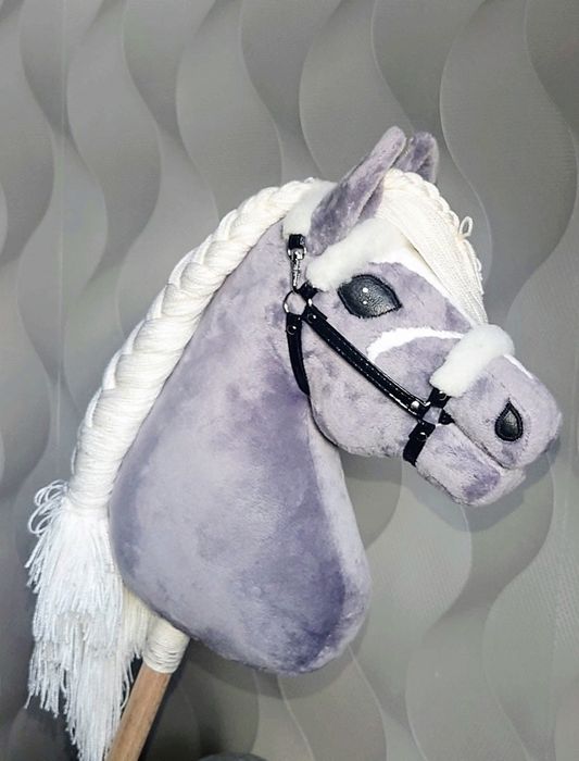 Hobby horse konik