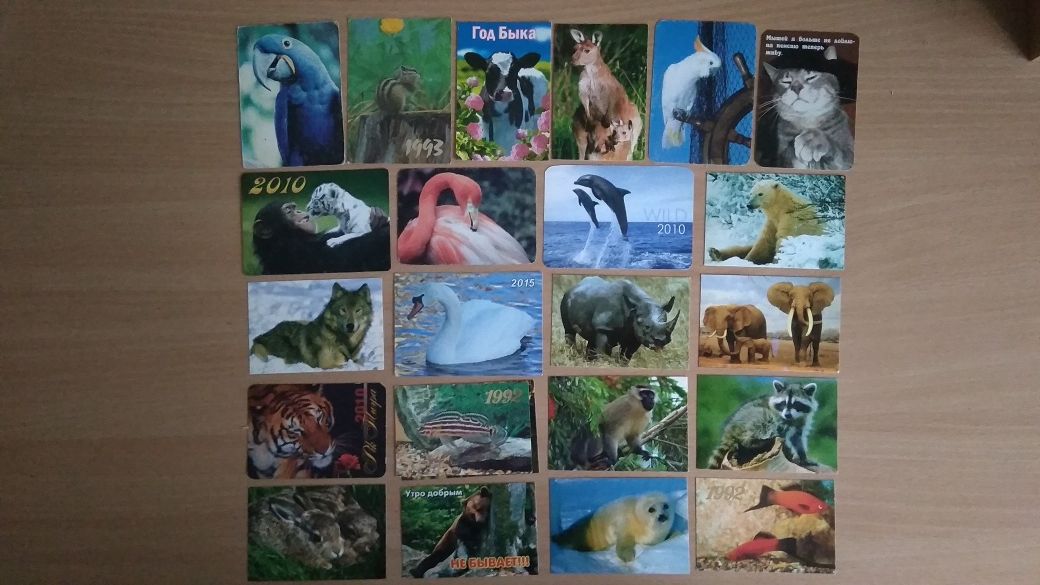 Календарики Мир животных 40шт Цена за всё