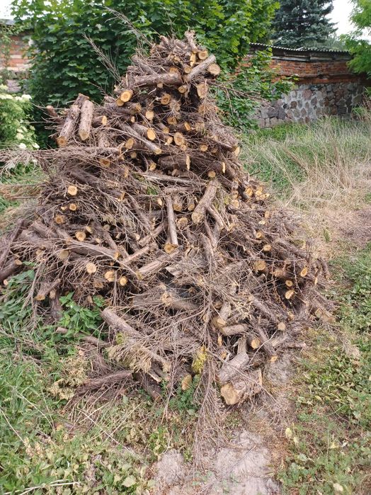 Drewno opałowe / do wędzenia jałowiec