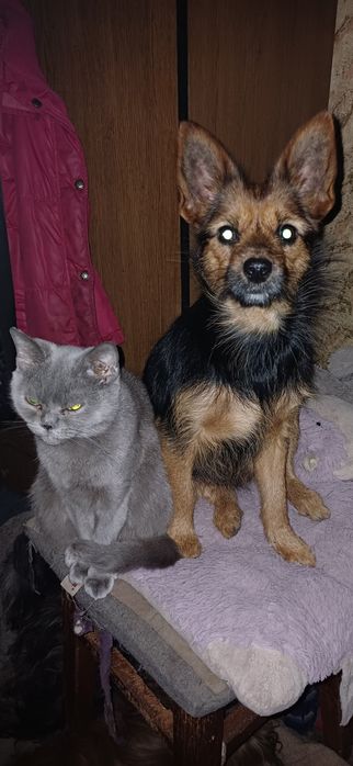 Ярка дівчинка з вагою 5 кг