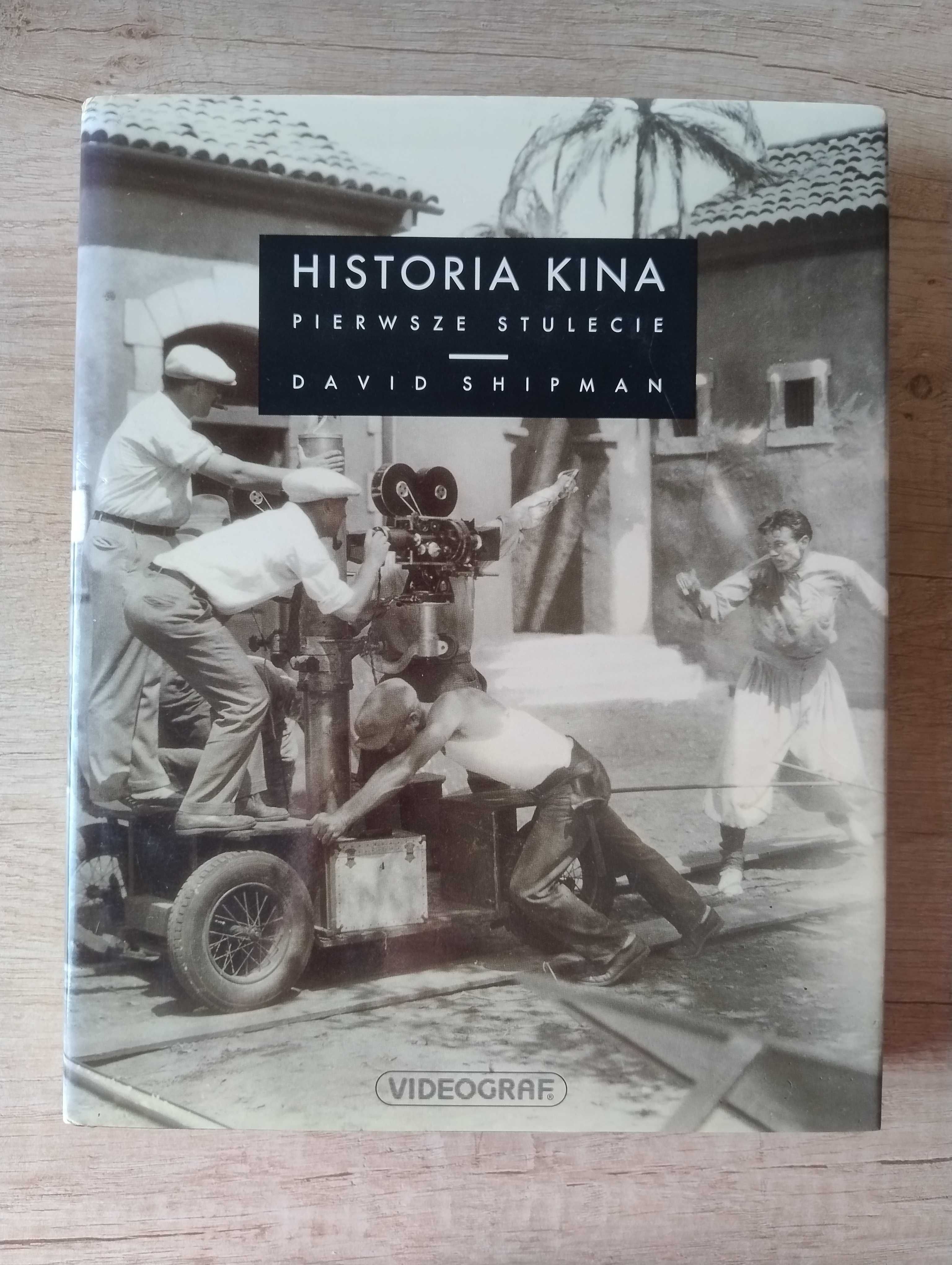 Historia kina. Pierwsze stulecie – David Shipman