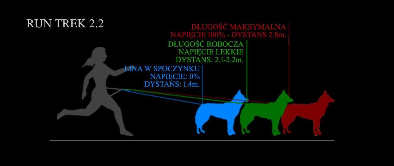 HIFICA RUN TREK 2.2 PP 90 Lina/Smycz-Amortyzator Bieganie dla Psa