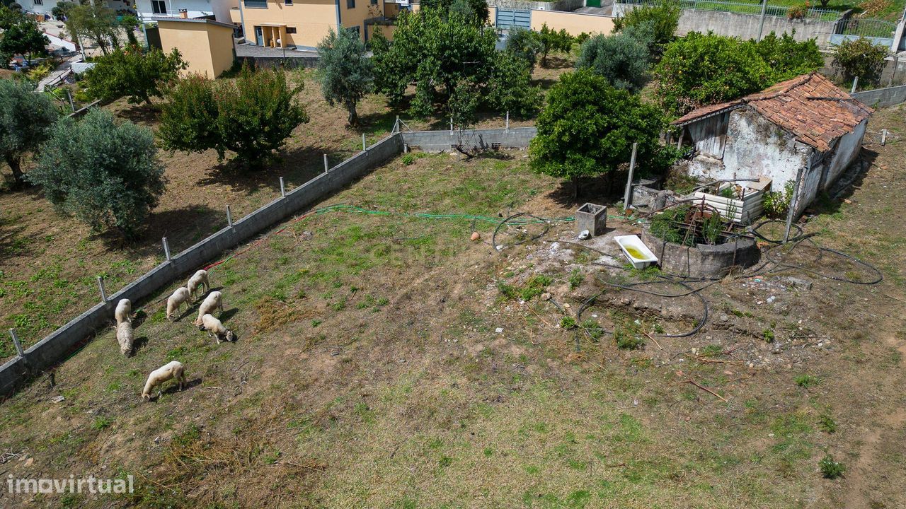 Quinta em Ferreira Zêzere