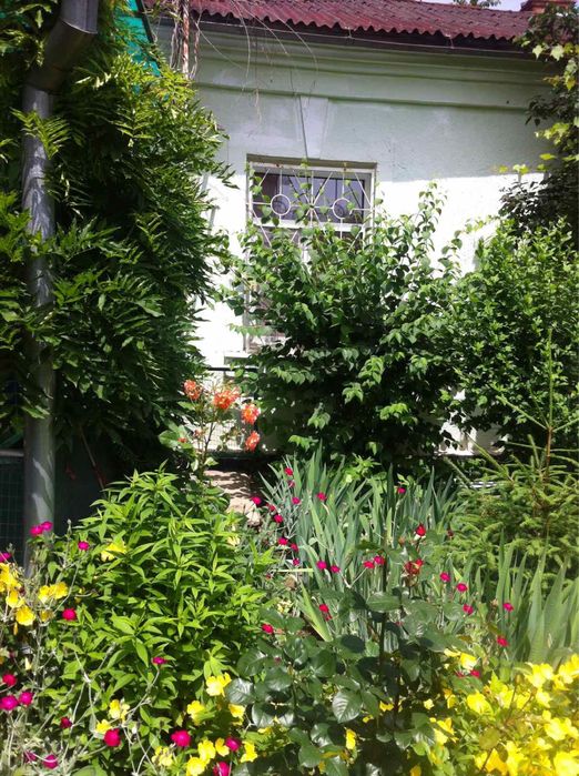 Продам по супер цене участок на Фонтане ,возле моря!!