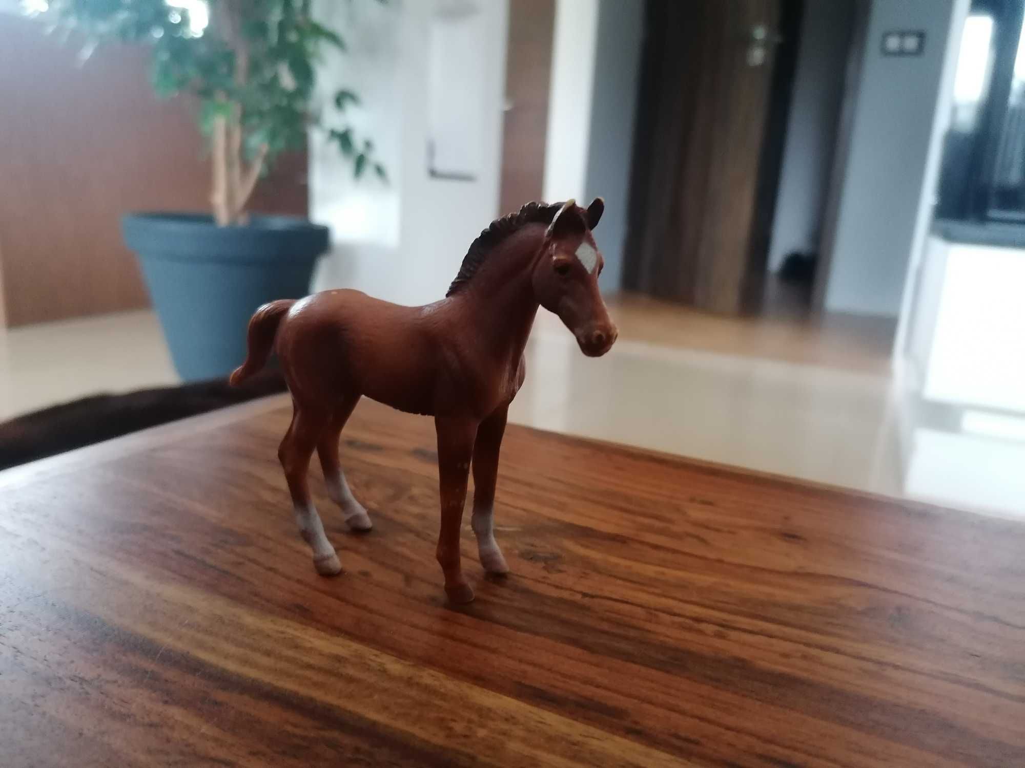 Collecta źrebię Thoroughbred 88671