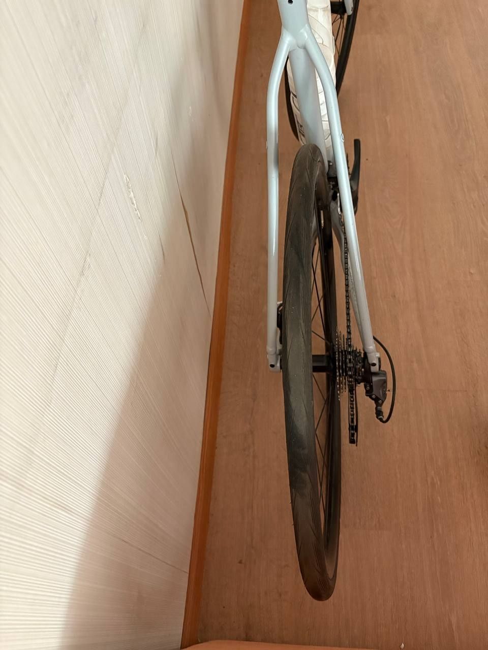 Trek domane 2024