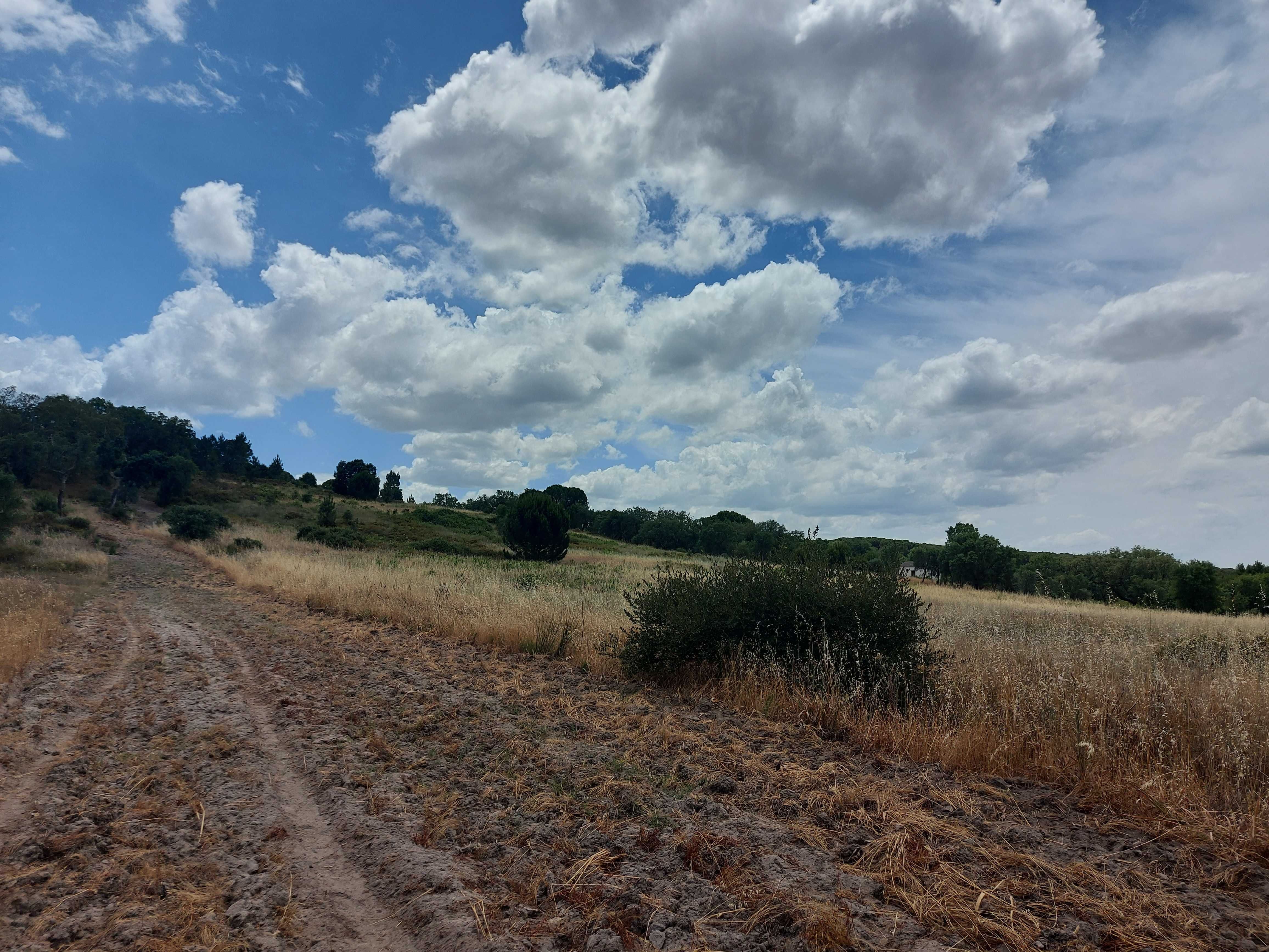 Terreno Rustico em Mora Cabecao