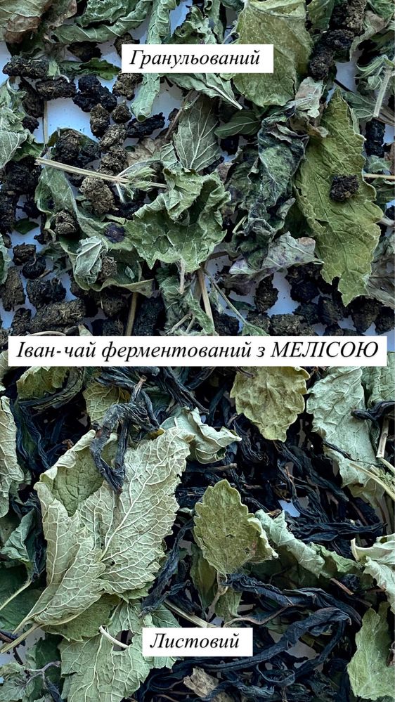 Іван-чай ферментований з мелісою, кипрей ферментированный с мелисой
