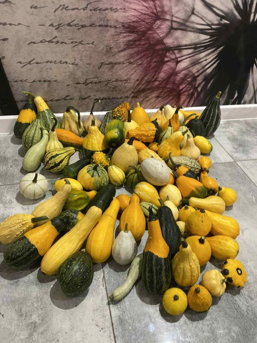 Dynia ozdobna mix 2kg