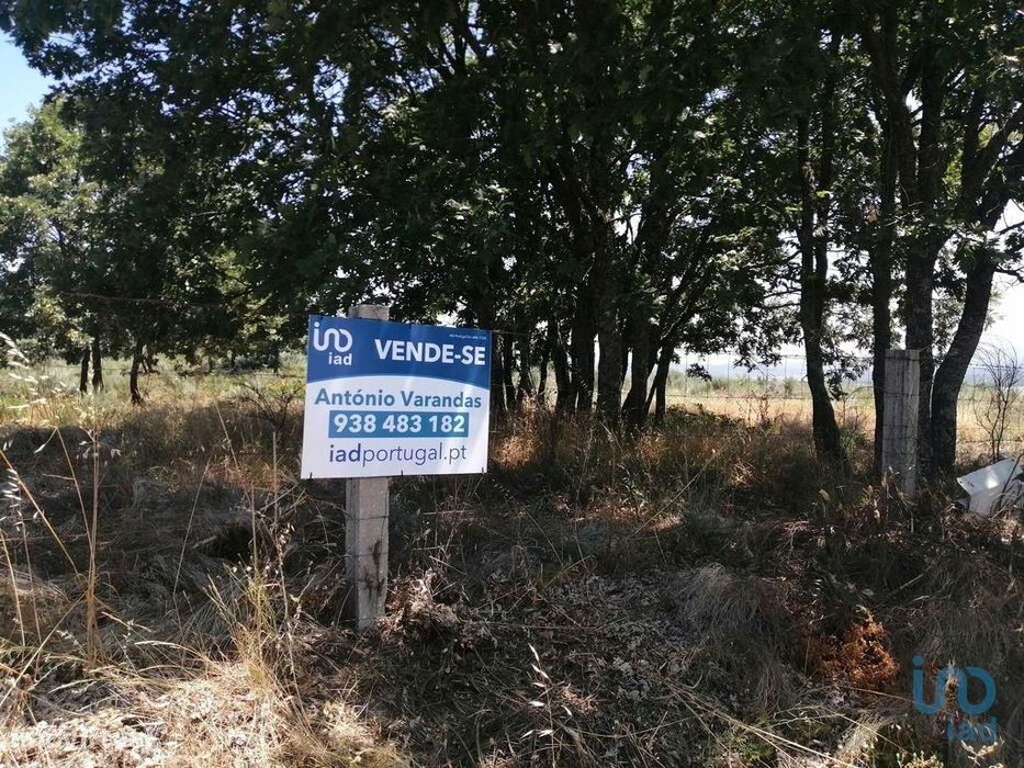 Terreno em Sabugal e Aldeia de Santo António de 56170,00 m2