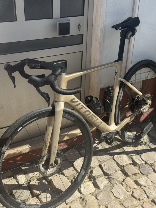 Vitoria Bikes Ultimate Art