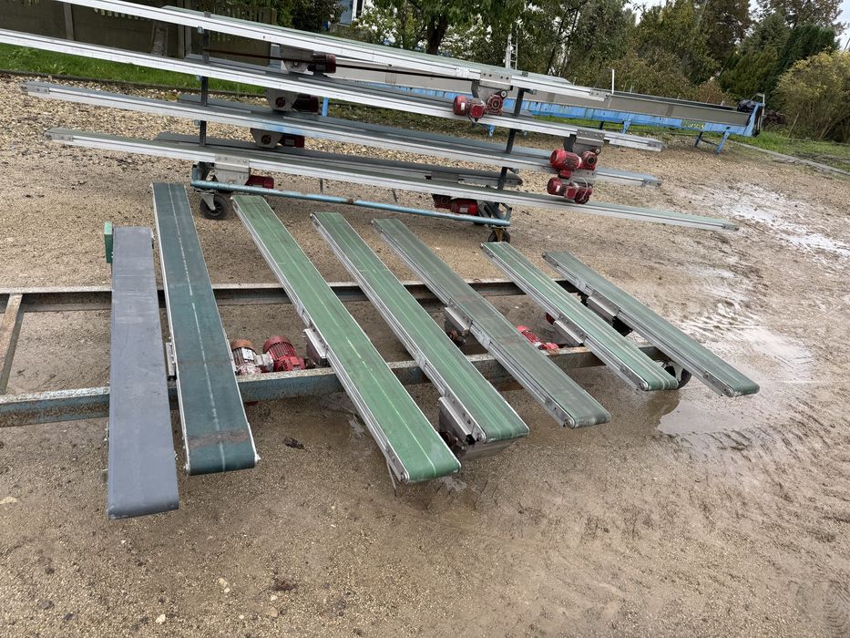 Przenośnik Taśmowy Taśmociąg Taśma Podajnik do Doniczkarka Trocin