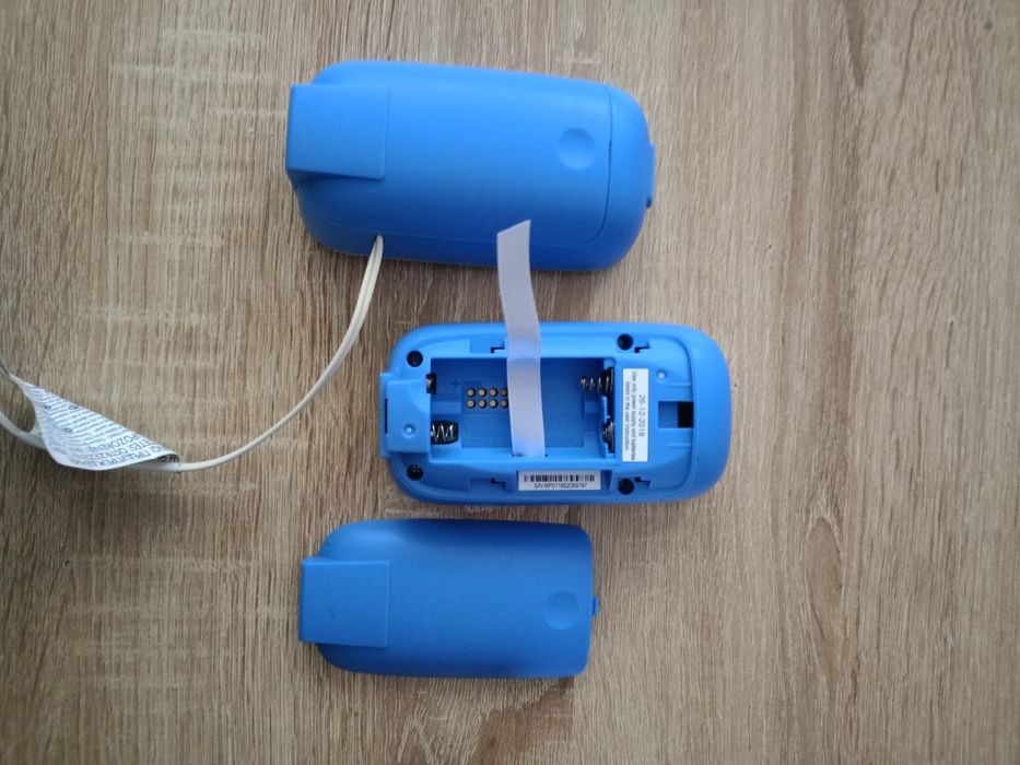 Elektroniczna niania
