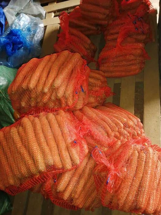 Mlode ziemniaki i kapusta kiszona i ogorki