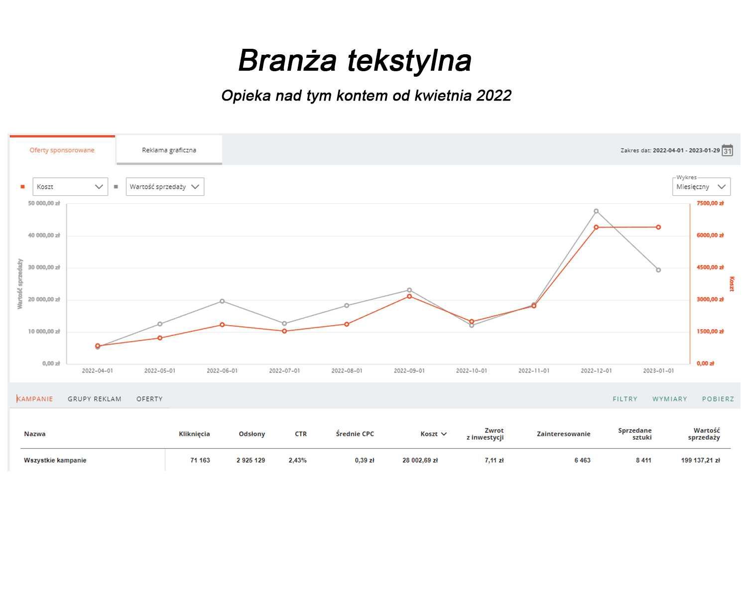 Kompleksowa obsługa Allegro i Ads pozycjonowanie aukcji opisy  Zdjęcia