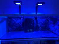 Lampa Reef flare Pro S Blue akwarium morskie