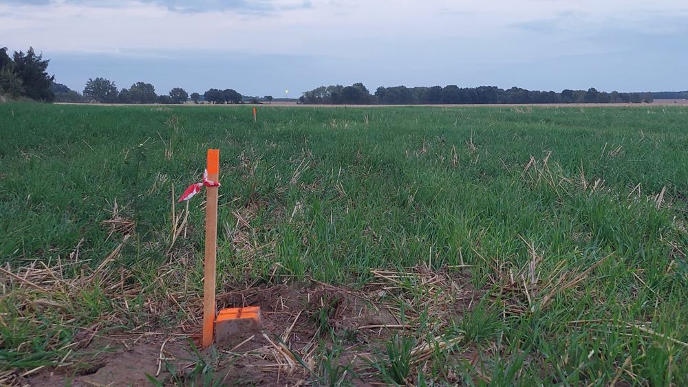3km Nowogard dzialka z warunkami zabudowy