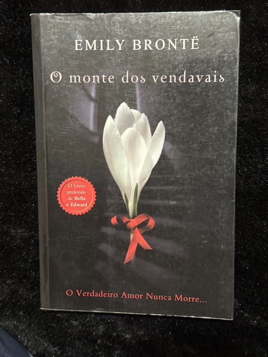 O monte dos vendavais - Emily Brontë