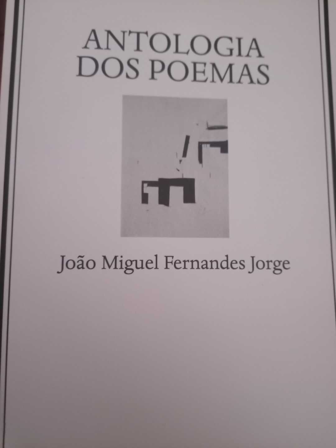 Antologia dos poemas de João Miguel Fernandes Jorge