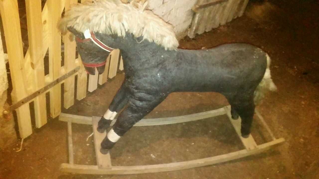 konik na biegunach