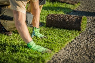 Profesjonalne Zakładanie Trawników i Usługi Ogrodnicze - Green Zone