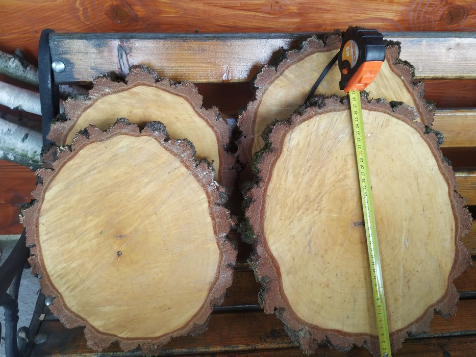 Plastry z brzozy różne wymiary