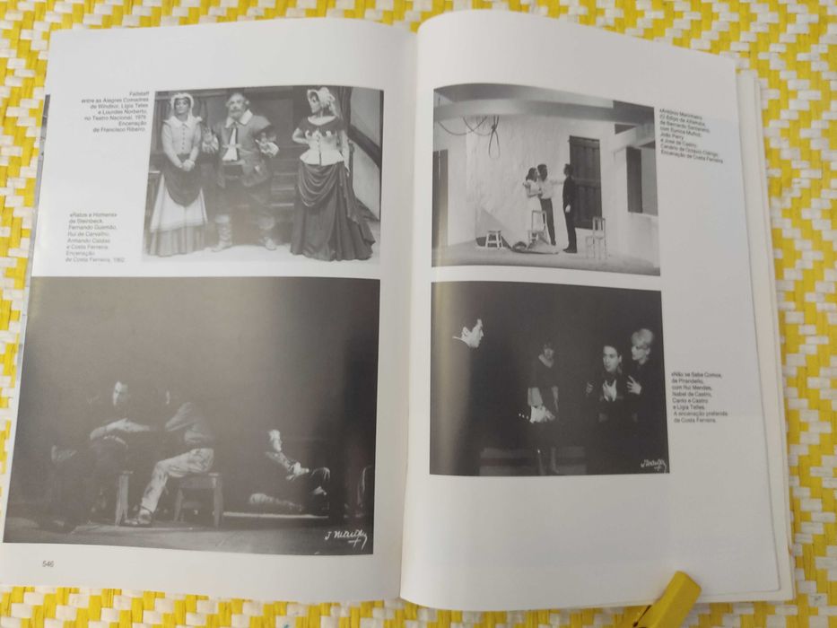 Uma casa com janelas para dentro - Costa Ferreira