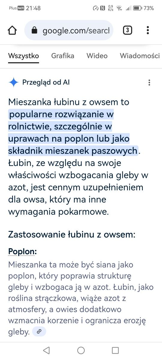 Łubin słodki Agat poplon