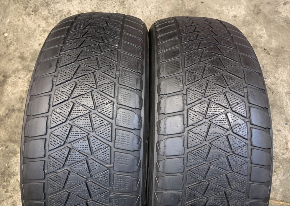Шини Bridgestone Blizzak DM-V2 235/55 R19 пара