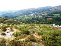 Terreno com 1.510m2 em Pedraído - Fafe