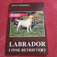 Labrador i inne Retrievery