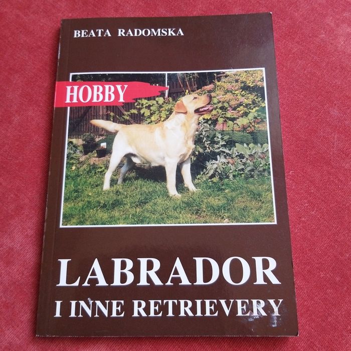 Labrador i inne Retrievery