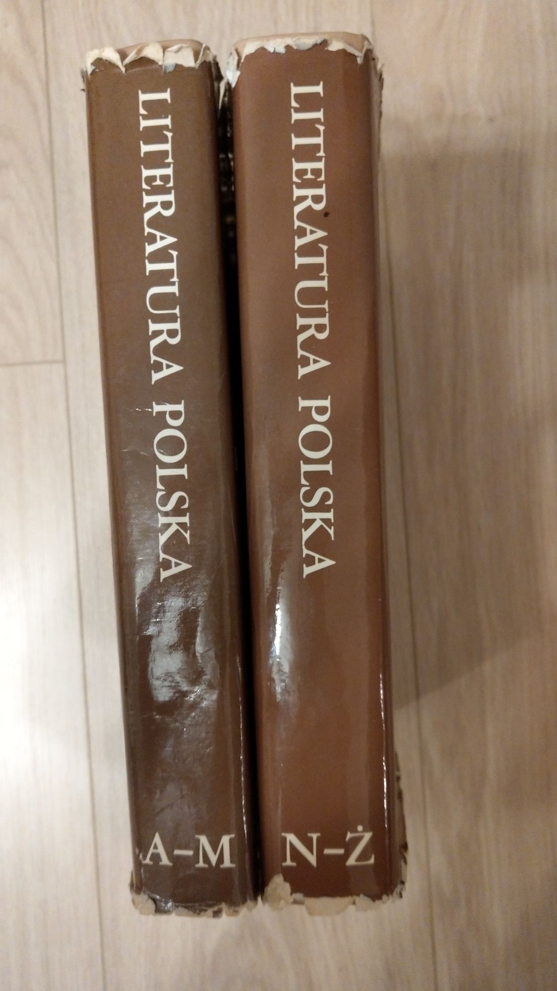 Literatura Polska 2 tomy J. Krzyżanowski