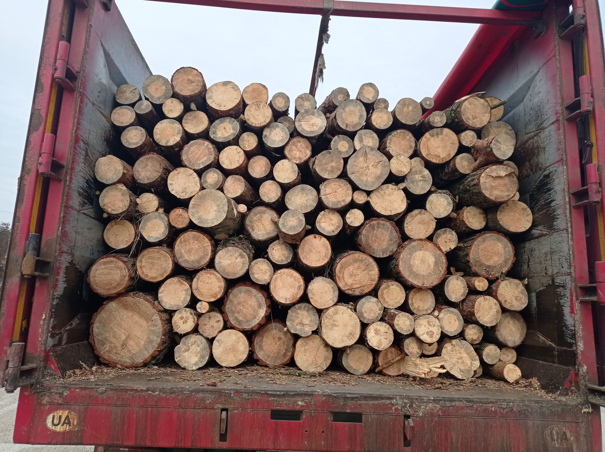 Продам Дрова от 550грв куб