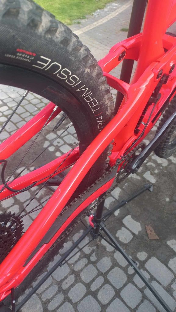 Trek remedy 8 2021