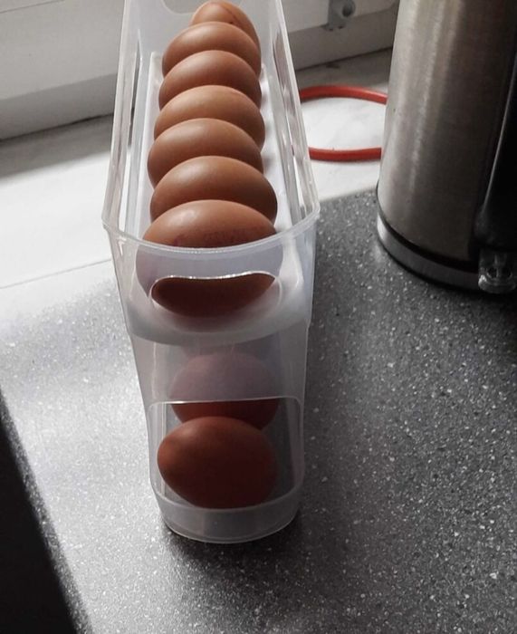 Pojemnik na jajka