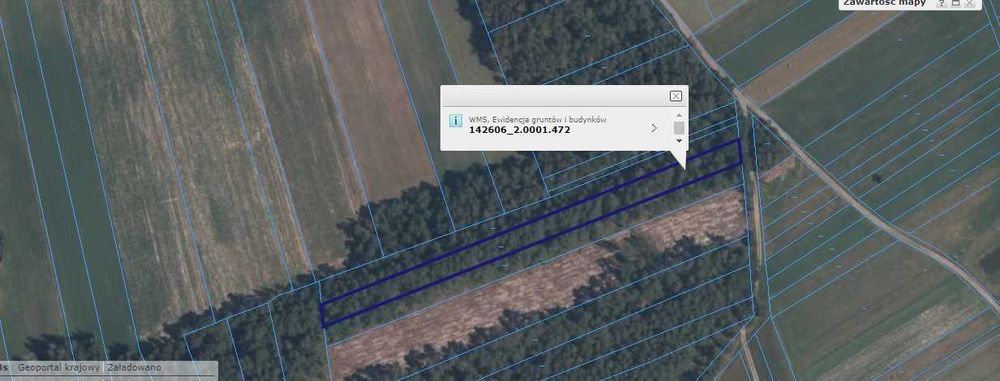 Sprzedam działke leśną, Czarnoty gmina Paprotnia. 4 300m2