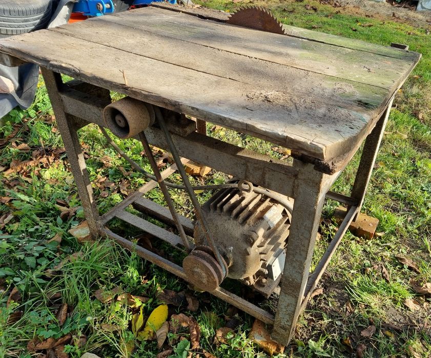 Piła krajzega siła