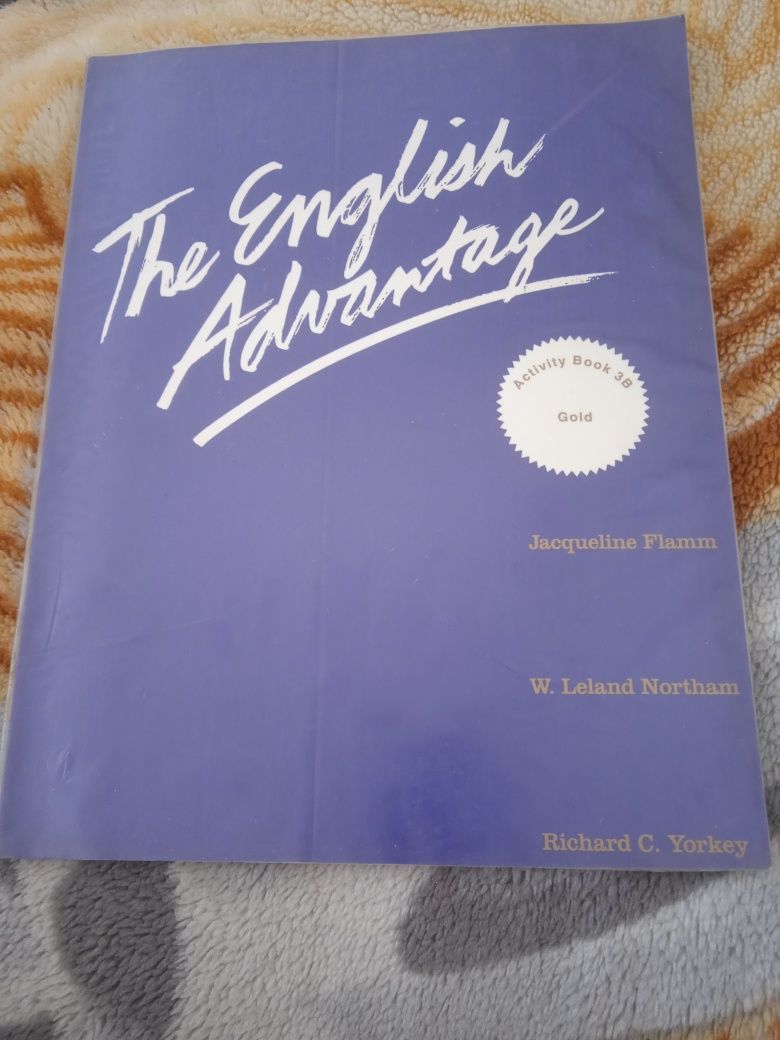The English Advantage Activity Books 3B