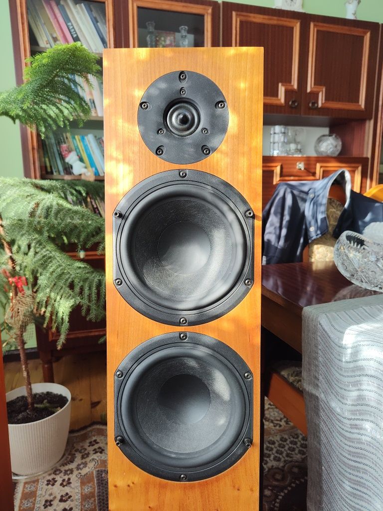 Audio physic Tempo 3